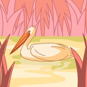 Meet your Posher, Cassidy